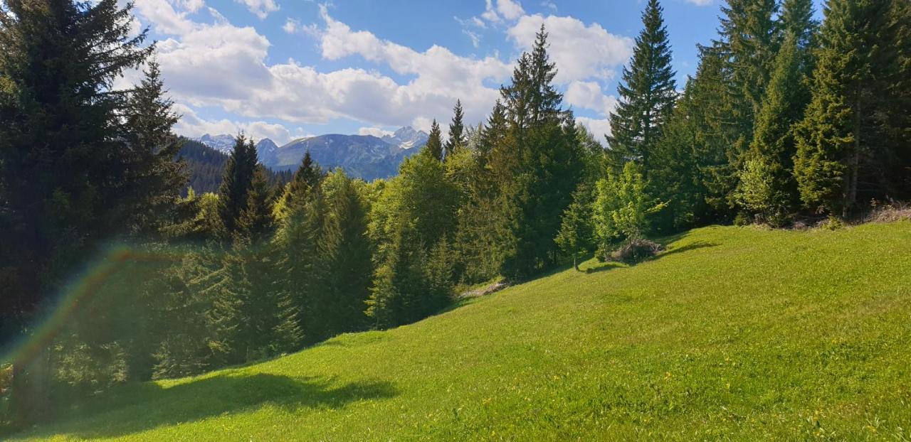 Mountain Eco Chalet Konjska Dolina On 1400 M Asl -Near Pokljuka Srednja Vas v Bohinju Bagian luar foto