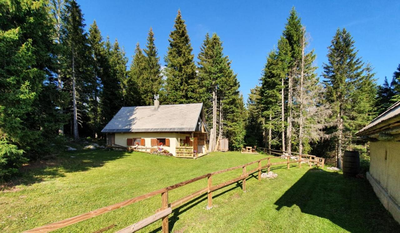Mountain Eco Chalet Konjska Dolina On 1400 M Asl -Near Pokljuka Srednja Vas v Bohinju Bagian luar foto