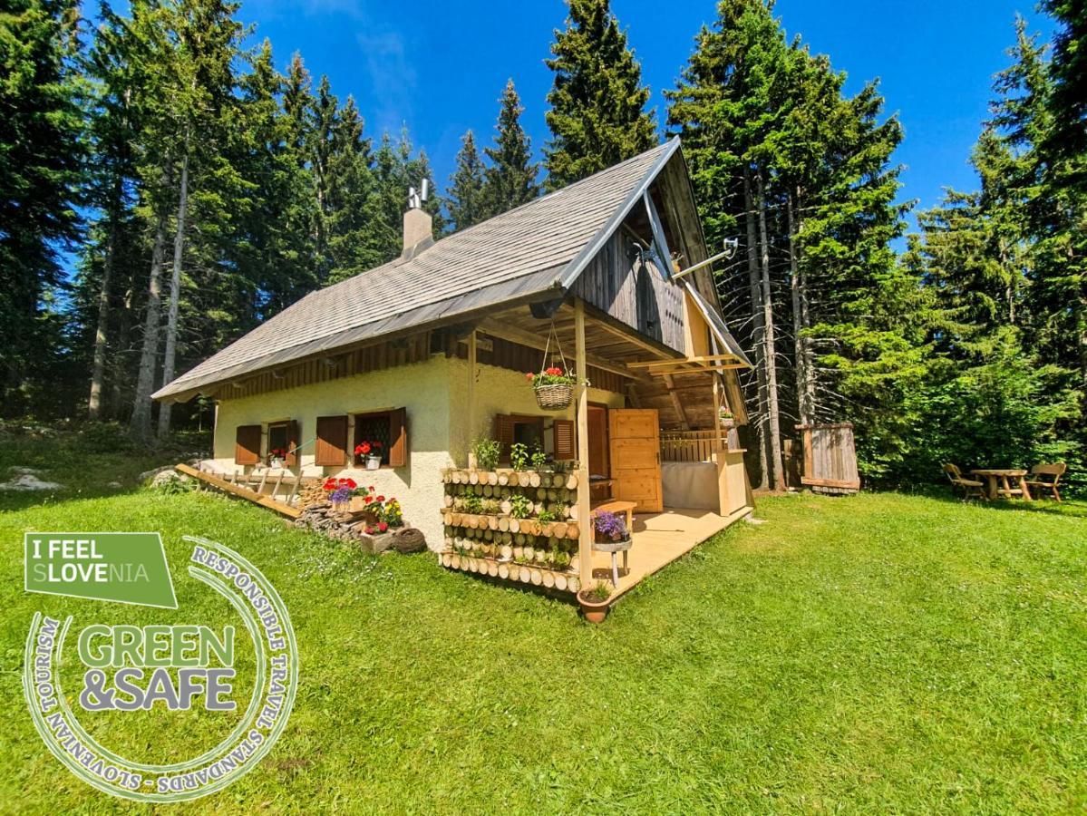 Mountain Eco Chalet Konjska Dolina On 1400 M Asl -Near Pokljuka Srednja Vas v Bohinju Bagian luar foto